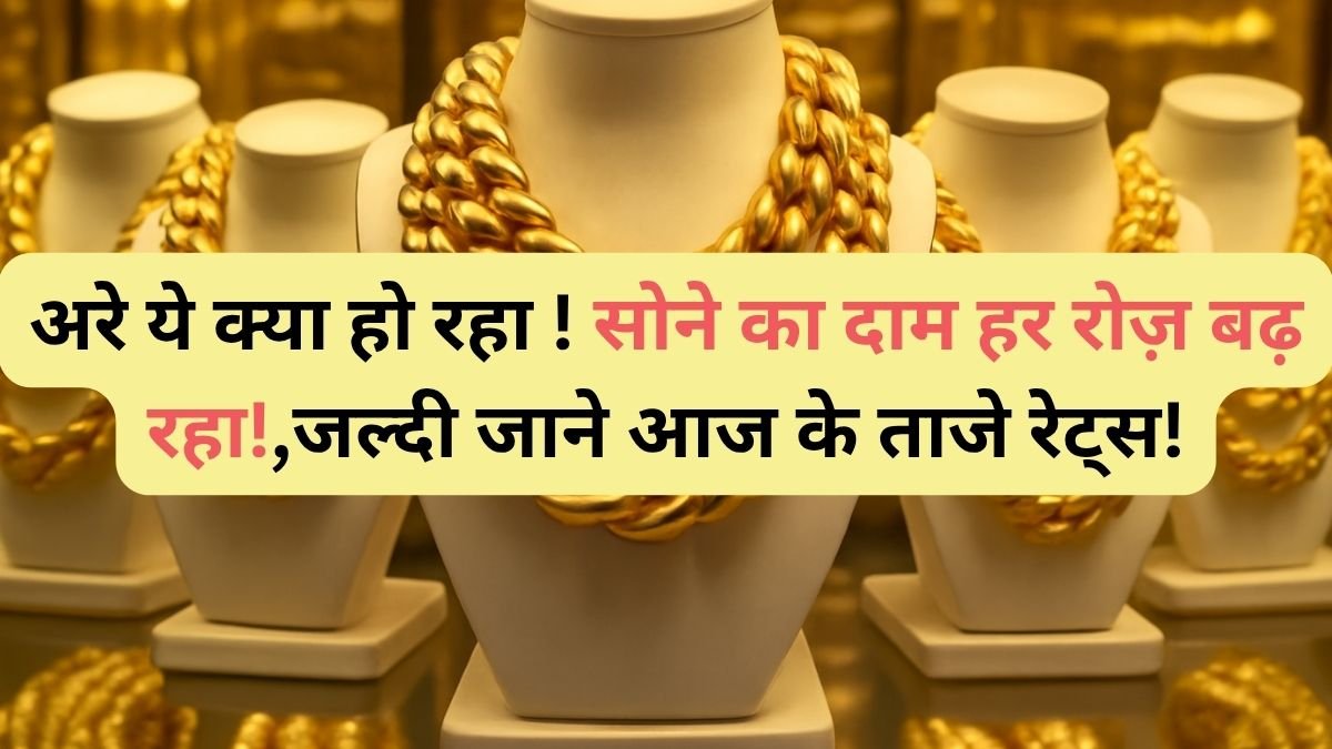 gold rate today gold price today